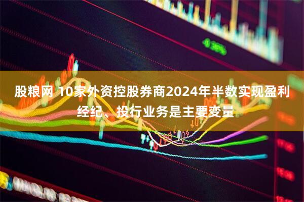 股粮网 10家外资控股券商2024年半数实现盈利  经纪、投行业务是主要变量
