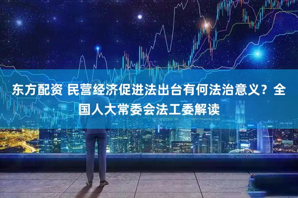 东方配资 民营经济促进法出台有何法治意义？全国人大常委会法工委解读