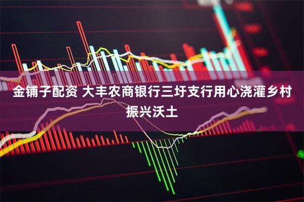 金铺子配资 大丰农商银行三圩支行用心浇灌乡村振兴沃土