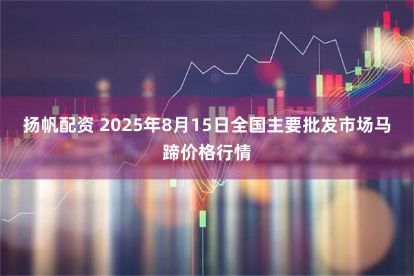 扬帆配资 2025年8月15日全国主要批发市场马蹄价格行情